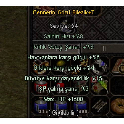 15 BUYU CENNET BILEZIK